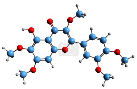 Photo for 3D image of Artemetin skeletal formula - molecular chemical structure of Penta-O-methylquercetagetin isolated on white background - Royalty Free Image