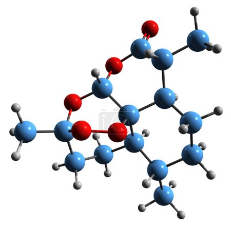 Photo for 3D image of Artemisinin skeletal formula - molecular chemical structure of antiprotozoal drug isolated on white background - Royalty Free Image
