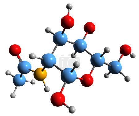 Téléchargez les photos : Image 3D de la formule squelettique N-acétylgalactosamine - structure chimique moléculaire du sucre aminé isolé sur fond blanc - en image libre de droit