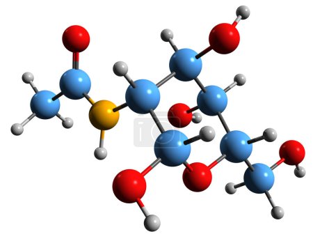 Téléchargez les photos : Image 3D de la formule squelettique N-acétylglucosamine - structure chimique moléculaire du dérivé du glucose monosaccharidique isolé sur fond blanc - en image libre de droit