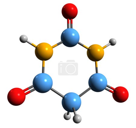 Foto de Imagen 3D de la fórmula esquelética del ácido barbitúrico - estructura química molecular de la malonilurea aislada sobre fondo blanco - Imagen libre de derechos
