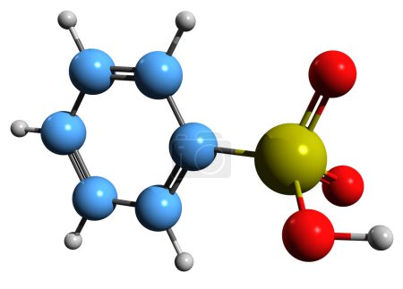 Foto de Imagen 3D de la fórmula esquelética del ácido benzenesulfónico - estructura química molecular del ácido fenilsulfónico aislado sobre fondo blanco - Imagen libre de derechos