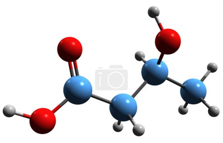 Foto de Imagen 3D de la fórmula esquelética del ácido beta-hidroxibutírico - estructura química molecular del ácido 3-hidroxibutanoico aislado sobre fondo blanco - Imagen libre de derechos