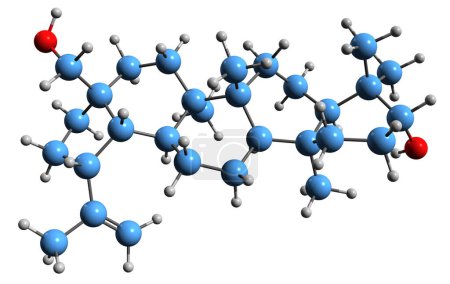 Téléchargez les photos : Image 3D de la formule squelettique Betulin - structure chimique moléculaire de l'écorce des bouleaux triterpène isolé sur fond blanc - en image libre de droit