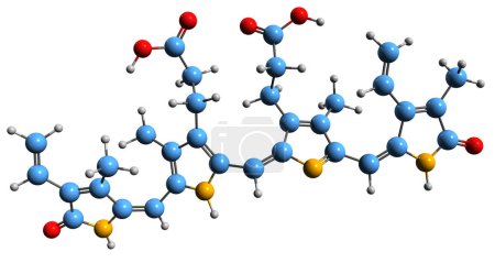 Photo for 3D image of Biliverdin skeletal formula - molecular chemical structure of green tetrapyrrolic bile pigment isolated on white background - Royalty Free Image