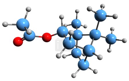 Foto de Imagen 3D de la fórmula esquelética del acetato de Bornyl - estructura química molecular del éster del acetato del borneol aislado sobre fondo blanco - Imagen libre de derechos