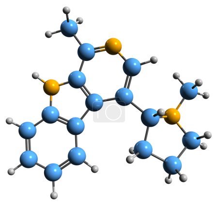 Téléchargez les photos : Image 3D de la formule squelettique Brevicolline - structure chimique moléculaire de l'alcaloïde isolé sur fond blanc - en image libre de droit