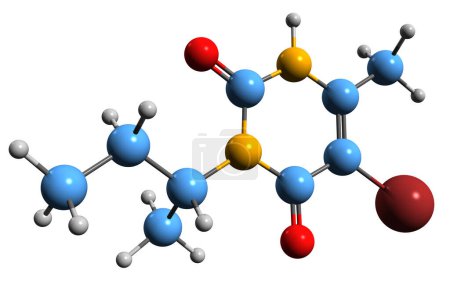 Photo for 3D image of Bromacil skeletal formula - molecular chemical structure of  broad spectrum herbicide isolated on white background - Royalty Free Image
