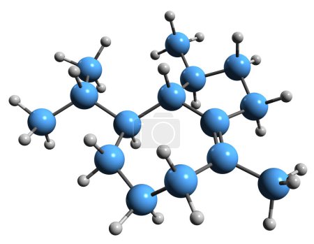 Photo for 3D image of bullnesen skeletal formula - molecular chemical structure of Patchouli phytochemical isolated on white background - Royalty Free Image