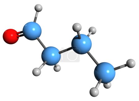  3D-Aufnahme der Butyraldehyd-Skelettformel - molekulare chemische Struktur des Butanals isoliert auf weißem Hintergrund