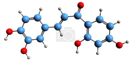 Photo for 3D image of Butein skeletal formula - molecular chemical structure of sirtuin-activating compound isolated on white background - Royalty Free Image