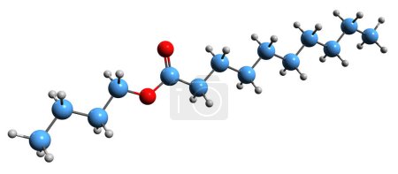 Foto de Imagen 3D de la fórmula esquelética del decanoato de butilo - estructura química molecular del caprato de butilo aislado sobre fondo blanco - Imagen libre de derechos