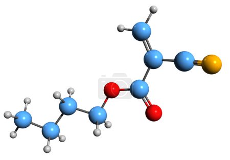 Foto de Imagen 3D de la fórmula esquelética de cianoacrilato de butilo - estructura química molecular del 2-cianopropenoato de butilo aislado sobre fondo blanco - Imagen libre de derechos