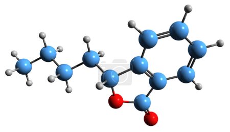 Photo for 3D image of  skeletal formula - molecular chemical structure of 3-n-butylphthalide isolated on white background - Royalty Free Image