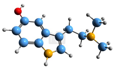 Foto de Imagen 3D de la fórmula esquelética de Bufotenina - estructura química molecular del derivado de triptamina aislado sobre fondo blanco - Imagen libre de derechos