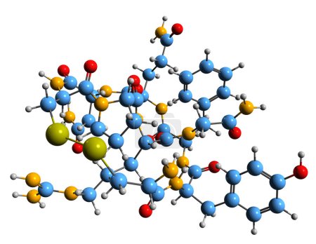 Foto de Imagen 3D de la fórmula esquelética de Vasopresina: estructura química molecular de la hormona antidiurética aislada sobre fondo blanco - Imagen libre de derechos