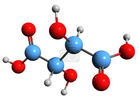 Foto de Imagen 3D de la fórmula esquelética del ácido tartárico - estructura química molecular de Winestone aislada sobre fondo blanco - Imagen libre de derechos
