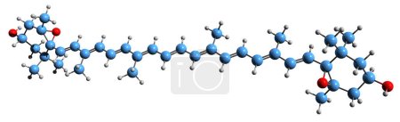 Foto de Imagen 3D de la fórmula esquelética de violaxantina - estructura química molecular del diepóxido de zeaxantina aislado sobre fondo blanco - Imagen libre de derechos