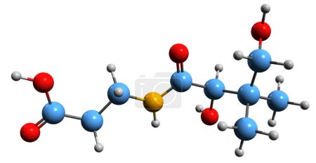  Imagen 3D de la fórmula esquelética del ácido pantoténico - estructura química molecular de la vitamina B5 aislada sobre fondo blanco