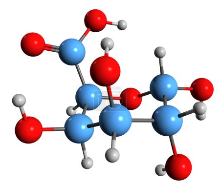 Foto de Imagen 3D de la fórmula esquelética del ácido galacturónico: estructura química molecular del ácido azúcar aislado sobre fondo blanco - Imagen libre de derechos