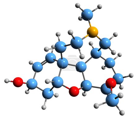 Foto de Imagen 3D de la fórmula esquelética de Galantamine - estructura química molecular del alcaloide fitoquímico aislado sobre fondo blanco - Imagen libre de derechos