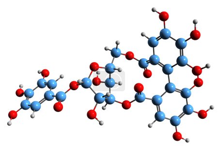 Téléchargez les photos : Image 3D de la formule squelettique du gallotanin - structure chimique moléculaire du tanin hydrolysable isolé sur fond blanc - en image libre de droit