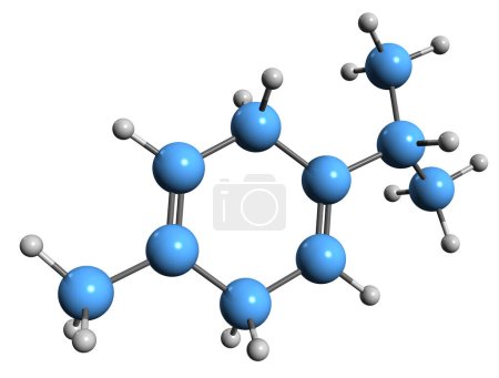 Foto de Imagen 3D de la fórmula esquelética de Terpinene - estructura química molecular del monoterpeno aislado sobre fondo blanco - Imagen libre de derechos