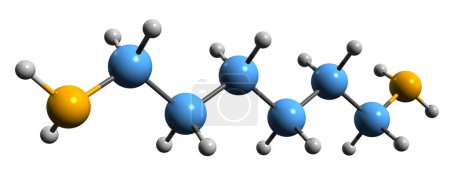 Téléchargez les photos : Image 3D de la formule squelettique de l'hexaméthylènediamine - structure chimique moléculaire du diaminohexane isolé sur fond blanc - en image libre de droit