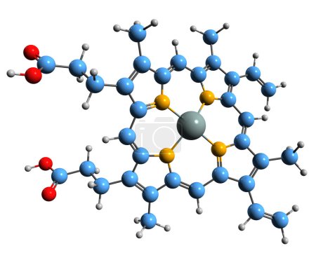 Photo for 3D image of Heme B skeletal formula - molecular chemical structure of protoheme IX isolated on white background - Royalty Free Image