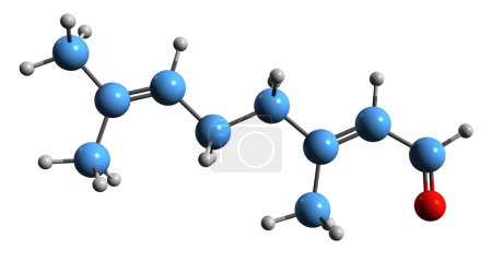 Foto de Imagen 3D de la fórmula esquelética geraniana - estructura química molecular del aldehído monoterpeno acíclico trans-cítrico aislado sobre fondo blanco - Imagen libre de derechos