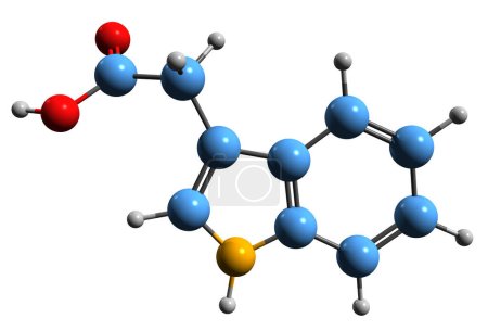 Foto de Imagen 3D de Indole-3-ácido acético fórmula esquelética - estructura química molecular de la hormona vegetal heteroauxina aislada sobre fondo blanco - Imagen libre de derechos