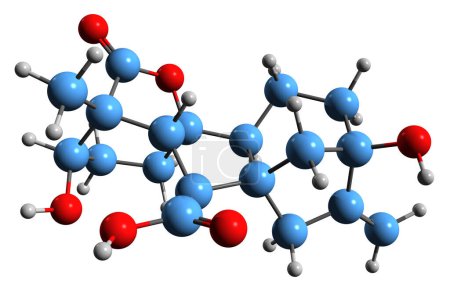 Foto de Imagen 3D de la fórmula esquelética de Gibberellin A1: estructura química molecular de la hormona vegetal aislada sobre fondo blanco - Imagen libre de derechos