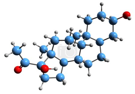 Foto de Imagen 3D de la fórmula esquelética hidroxiallopregnanolona - estructura química molecular del neuroesteroide natural aislado sobre fondo blanco - Imagen libre de derechos