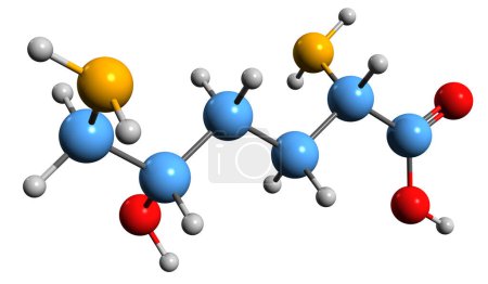 Photo for 3D image of Hydroxylysine skeletal formula - molecular chemical structure of amino acid isolated on white background - Royalty Free Image