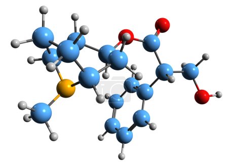 Téléchargez les photos : Image 3D de la formule squelettique d'Hyoscyamine - structure chimique moléculaire de la daturine alcaloïde tropane isolée sur fond blanc - en image libre de droit