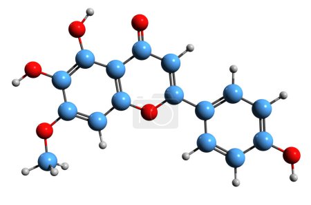 Foto de Imagen 3D de la fórmula esquelética de Hispidulina - estructura química molecular de flavona antiepiléptica aislada sobre fondo blanco - Imagen libre de derechos