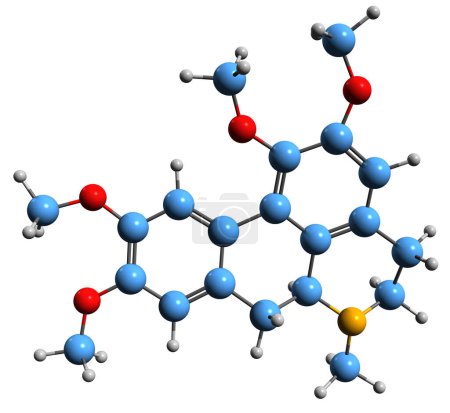 Téléchargez les photos : Image 3D de la formule squelettique Glaucine - structure chimique moléculaire de l'alcaloïde aporphine isolé sur fond blanc - en image libre de droit