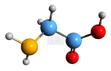 Foto de Imagen 3D de la fórmula esquelética de glicina - estructura química molecular de aminoácido aislado sobre fondo blanco - Imagen libre de derechos