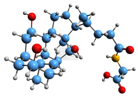 Téléchargez les photos : Image 3D de la formule squelettique de l'acide glycocholique - structure chimique moléculaire de la cholylglycine isolée sur fond blanc - en image libre de droit