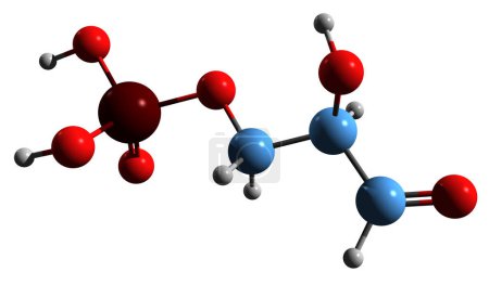 Photo for 3D image of Glyceraldehyde 3-phosphate skeletal formula - molecular chemical structure of triose phosphate isolated on white background - Royalty Free Image