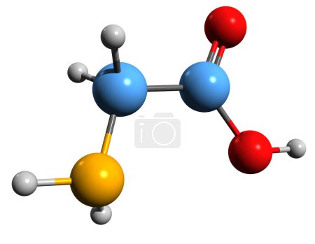 Téléchargez les photos : Image 3D de la formule squelettique de l'acide aminoéthanoïque - structure chimique moléculaire de l'acide aminé isolé sur fond blanc - en image libre de droit