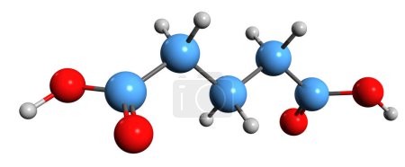 Téléchargez les photos : Image 3D de la formule squelettique de l'acide glutarique - structure chimique moléculaire de l'acide n-pyrotartrique isolé sur fond blanc - en image libre de droit