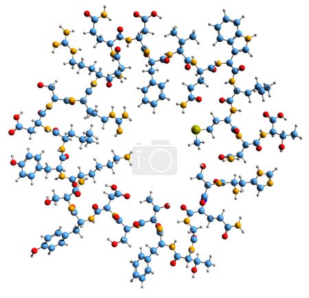 Téléchargez les photos : Image 3D de la formule squelettique de Glucagon - structure chimique moléculaire de l'hormone peptidique isolée sur fond blanc - en image libre de droit