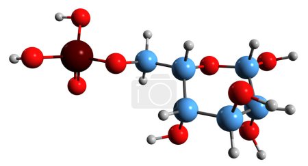 Téléchargez les photos : Image 3D de la formule squelettique du 6-phosphate de glucose - structure chimique moléculaire du 6-phosphate de D-glucopyranose isolé sur fond blanc - en image libre de droit