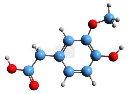 Foto de Imagen 3D de la fórmula esquelética del ácido homovanílico - estructura química molecular del metabolito catecolamínico principal aislado sobre fondo blanco - Imagen libre de derechos