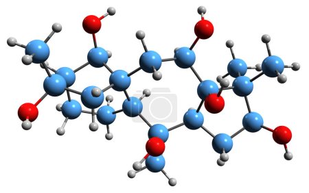 Foto de Imagen 3D de la fórmula esquelética de la grayanotoxina III - estructura química molecular de la Deacilasebotoxina I aislada sobre fondo blanco - Imagen libre de derechos