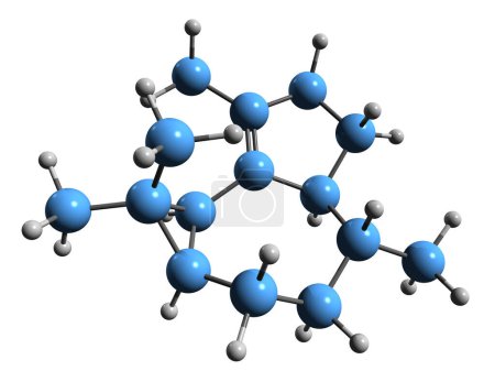 Photo for 3D image of Gurjunene skeletal formula - molecular chemical structure of Gurjun Balsam sesquiterpene isolated on white background - Royalty Free Image