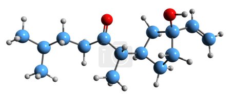 Foto de Imagen 3D de la fórmula esquelética de Davanone: estructura química molecular de la fitoquímica de Artemisia aislada sobre fondo blanco - Imagen libre de derechos