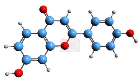 Foto de Imagen 3D de la fórmula esquelética de Daidzein - estructura química molecular de la isoaurostatina aislada sobre fondo blanco - Imagen libre de derechos
