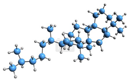 Téléchargez les photos : Image 3D de la formule squelettique de Dammarane - structure chimique moléculaire du triterpène tétracyclique isolé sur fond blanc - en image libre de droit